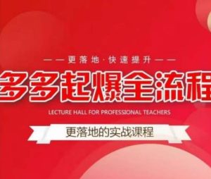 互力-多多新品打爆全流程，拼多多14天拉搜索自然流量，更落地·快速提升-赚钱驿站