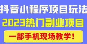 抖音小程序9.0新技巧,2023热门副业项目,动动手指轻松变现-赚钱驿站