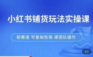 小红书铺货玩法实操课,流量大,竞争小,非常好做,新赛道,可复制性强,可团队操作-赚钱驿站
