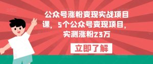 公众号涨粉变现实战项目课，5个公众号变现项目，实测涨粉23万-赚钱驿站