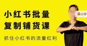 张宾·小红书批量复制铺货课,小红书0-1快速起号变现玩法,抓住小红书的流量红利(更新2023年3月)-赚钱驿站