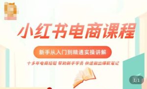 小红书电商新手入门到精通实操课,从入门到精通做爆款笔记,开店运营-赚钱驿站