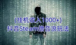 抖音Steam撸音浪玩法，挂机一天收入1000+不露脸 不说话 不封号 社恐人群福音-赚钱驿站