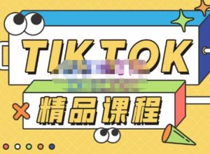 电商孵化中心·TikTok精品课程,教你玩转海外抖音,低成本创业,带您从0开始玩转TikTok-赚钱驿站