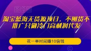 淘宝蓝海无货源项目,不囤货不推广只做冷门高利润代发,花一半时间赚10倍钱-赚钱驿站