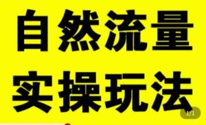 拼多多自然流量天花板,拼多多自然流的实操玩法,自然流量是怎么来的,如何开车带来自然流等知识-赚钱驿站