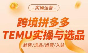 跨境拼多多TEMU实操与选品,掌握平台运营方法技巧,选品避坑12条标准,爆款的底层思路等-赚钱驿站