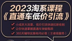 2023直通车低价引流玩法课程,小成本大流量,低价引流快速拉新收割,让你快速掌握直通车突破瓶颈-赚钱驿站