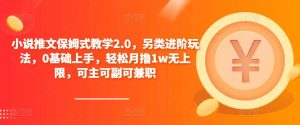 小说推文保姆式教学2.0,另类进阶玩法,0基础上手,轻松月撸1w无上限,可主可副可兼职-赚钱驿站