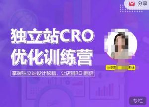 独立站CRO优化训练营,掌握独立站设计秘籍,打造高转化的独立站,让店铺ROI翻倍-赚钱驿站