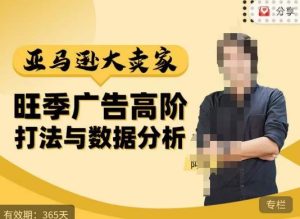 阿甘·亚马逊大卖家广告高阶打法与数据分析,走出传统广告误区;揭秘大卖惯用打法;数据驱动广告决策-赚钱驿站