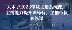 大木子2023带货主播系统课,主播能力提升训练营,主播带货必修课-赚钱驿站