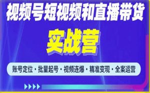 2023最新微信视频号引流和变现全套运营实战课程,小白也能玩转视频号短视频和直播运营-赚钱驿站