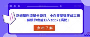 正规暴利流量卡项目，小白零基础零成本无脑照抄也能日入300+【揭秘】-赚钱驿站