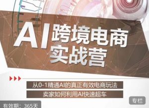 白龙老师·AI跨境电商实战营:从0-1精通Al的真正有效电商玩法,卖家如何利用Al快速超车-赚钱驿站