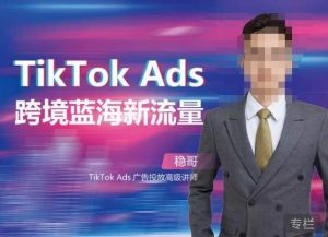 稳哥·如何投出高ROI的TikTok广告,开拓独立站卖家流量新蓝海-赚钱驿站