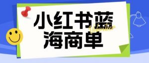价值2980的小红书商单项目暴力起号玩法,一单收益200-300(可批量放大)-赚钱驿站