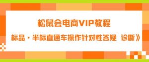 松鼠会电商VIP教程：松鼠《付费推广标品·半标直通车操作针对性答疑&诊断》-赚钱驿站