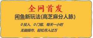 闲鱼新玩法(高芝麻分人脉)0投入0门槛,每天一小时,轻松月入过万【揭秘】-赚钱驿站