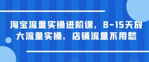 淘宝流量实操进阶课,8-15天放大流量实操,店铺流量不用愁-赚钱驿站