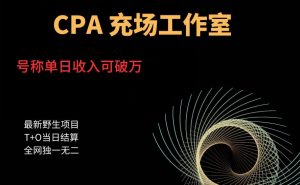 cpa充场工作室，号称单日收入10000+（揭秘）-赚钱驿站