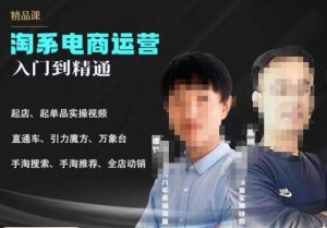 2023手淘搜索实操课+体系化课程,起店起单品实操视频课程-赚钱驿站