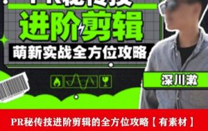 PR进阶剪辑培训班,让你快速成为剪辑大师12节视频课程+素材!-赚钱驿站