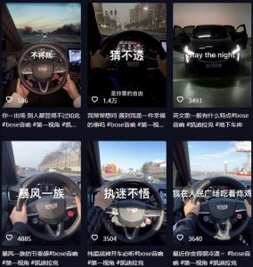 抖音开车视频项目,0基础操作,每天五分钟,月入1W+【揭秘】-赚钱驿站