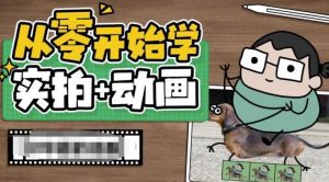 从零开始学实拍加动画,实拍加动画创意教程-赚钱驿站