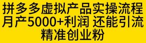拼多多虚拟产品实操流程,月产5000+利润,还能引流精准创业粉【揭秘】-赚钱驿站