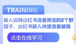 新人玩转小红书流量暴涨的8个野路子,小红书新人快速流量破局-赚钱驿站