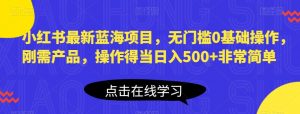 小红书最新蓝海项目,无门槛0基础操作,刚需产品,操作得当日入500+非常简单【揭秘】-赚钱驿站