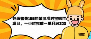 外面收费188的美团准时宝赔付项目,一小时完成一单利润200【仅揭秘】-赚钱驿站