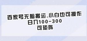 百家号无脑搬运,小白也可操作,日入100-300,可矩阵【仅揭秘】-赚钱驿站