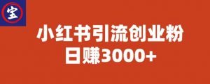 宝哥小红书引流创业粉,日赚3000+【揭秘】-赚钱驿站
