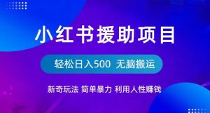 小红书援助项目新奇玩法,简单暴力,无脑搬运轻松日入500【揭秘】-赚钱驿站