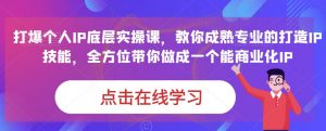 蟹老板·打爆个人IP底层实操课,教你成熟专业的打造IP技能,全方位带你做成一个能商业化IP-赚钱驿站