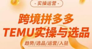 伍跃·跨境拼多多TEMU实操与选品,趋势/选品/运营/入住(27节完整)-赚钱驿站