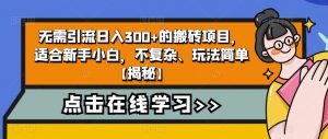 无需引流日入300+的搬砖项目，适合新手小白，不复杂、玩法简单【揭秘】-赚钱驿站