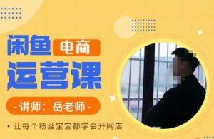 岳老师·闲鱼电商运营课,让每个粉丝宝宝都学会开网店-赚钱驿站