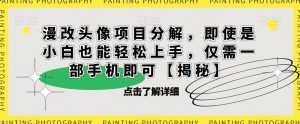 漫改头像项目分解,即使是小白也能轻松上手,仅需一部手机即可【揭秘】-赚钱驿站