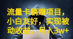 流量卡躺赚项目,小白友好,开设后台,实现被动收益,只要出卡,就能一直赚钱,利润高昂【揭秘】-赚钱驿站