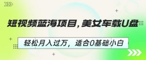 短视频蓝海项目,美女车载U盘,轻松月入过万,适合0基础小白【揭秘】-赚钱驿站