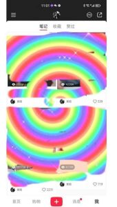 冷门高利润项目，小红书带货，无脑搬运，一部手机实现日入500+【揭秘】-赚钱驿站