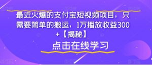 最近火爆的支付宝短视频项目，只需要简单的搬运，1万播放收益300+【揭秘】-赚钱驿站