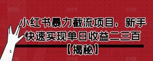 小红书暴力截流项目,新手快速实现单日收益二三百【仅揭秘】-赚钱驿站