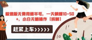 极速版无费用薅羊毛，一天躺赚10-50+，小白无脑操作【拆解】-赚钱驿站