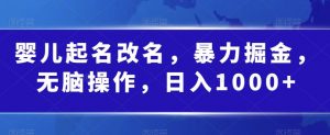 婴儿起名改名,暴力掘金,无脑操作,日入1000+【揭秘】-赚钱驿站