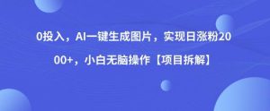 0投入,AI一键生成图片,实现日涨粉2000+,小白无脑操作【项目拆解】-赚钱驿站
