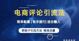 简单粗暴野路子引流-电商平台评论引流大法,适合懒人有手就行【揭秘】-赚钱驿站